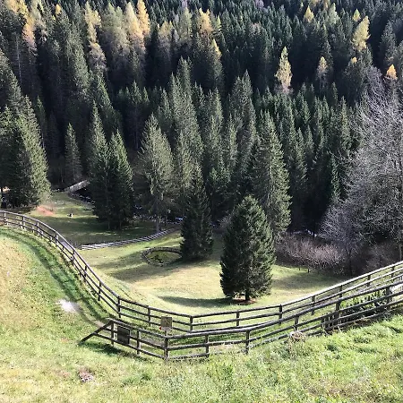 Chalet Campiglio Doss Chalet Madonna