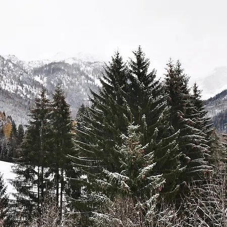 Chalet Chalet Campiglio Doss