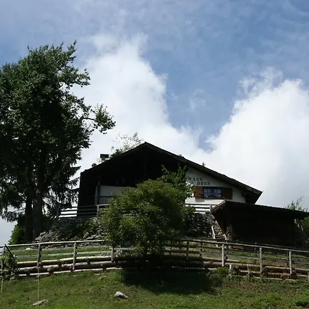 Chalet Chalet Campiglio Doss *